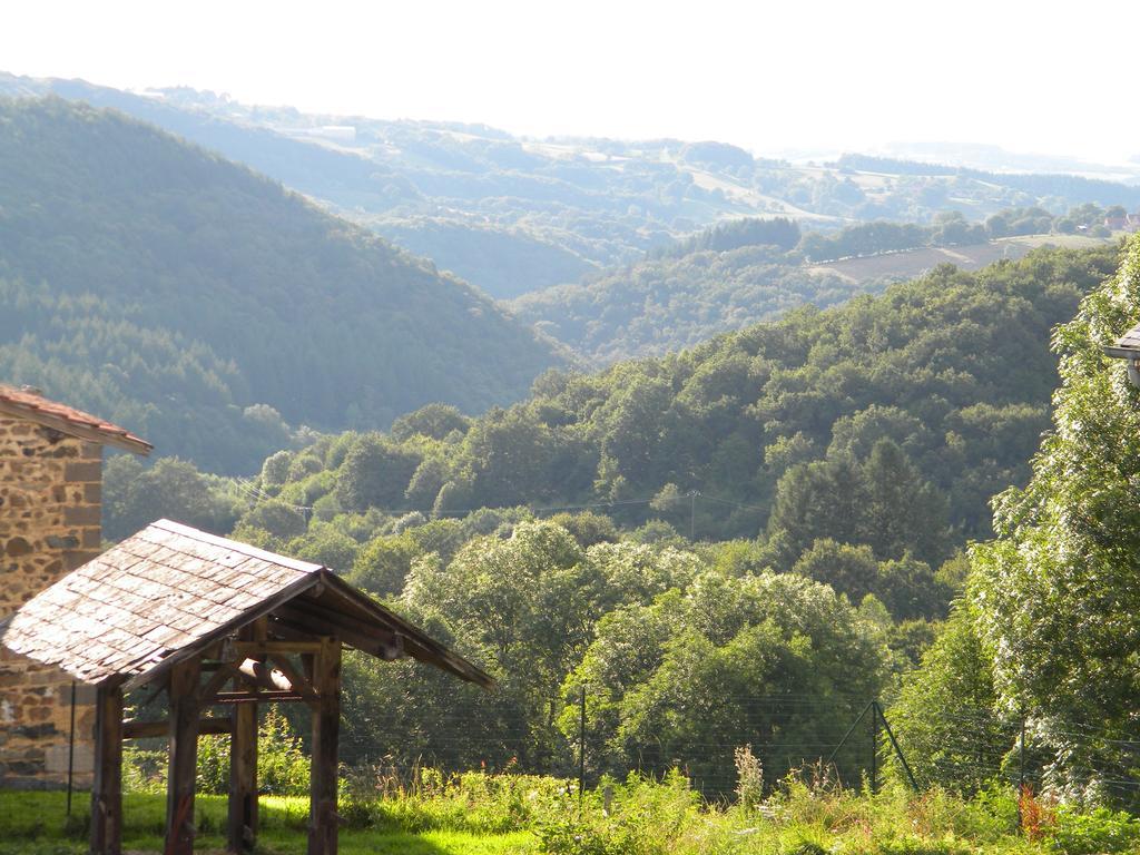 Willa Domaine Du Randier Ferrières-sur-Sichon Zewnętrze zdjęcie